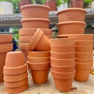 Chậu đất nung nhỏ trồng sen đá, xương rồng - 2 size