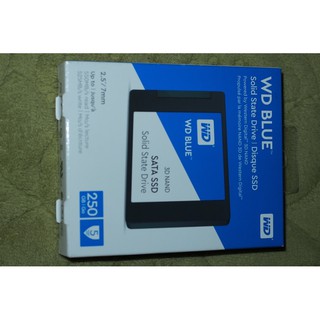 ổ cứng di động ssd WD blue 250GB