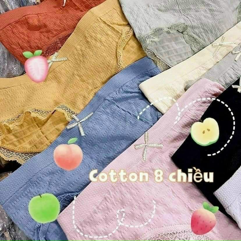 Quần lót nữ cotton mềm viền ren , quần chip nhăn siêu co dãn mỏng mát tôn dáng siêu gợi cảm | BigBuy360 - bigbuy360.vn