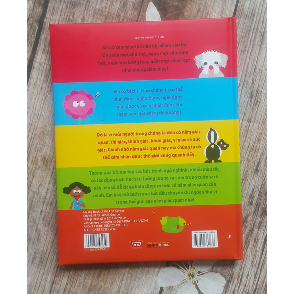 Cuốn sách khổng lồ về năm giác quan - My big book of the five senses