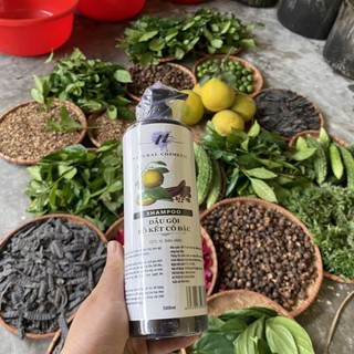 Dầu Gội Bồ Kết Cô Đặc 500ml - tiemxuongrong - momshinshop-tamtitthaoduoc