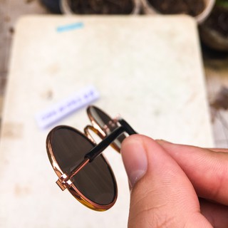 Kính mắt đổi màu cho Chó mèo