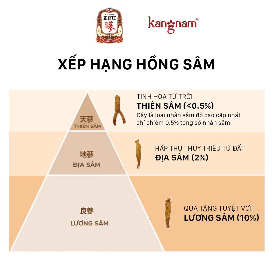 Hồng Sâm Nguyên Củ KGC Cheong Kwan Chang Good Roots 37.5G