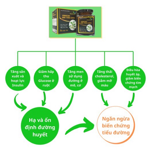 Cao Dây thìa canh Vinacao thêm giảo cổ lam - Hạ đường huyết, Ngăn ngừa biến chứng tiểu đường