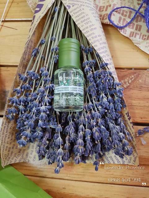 Nước hoa lavender