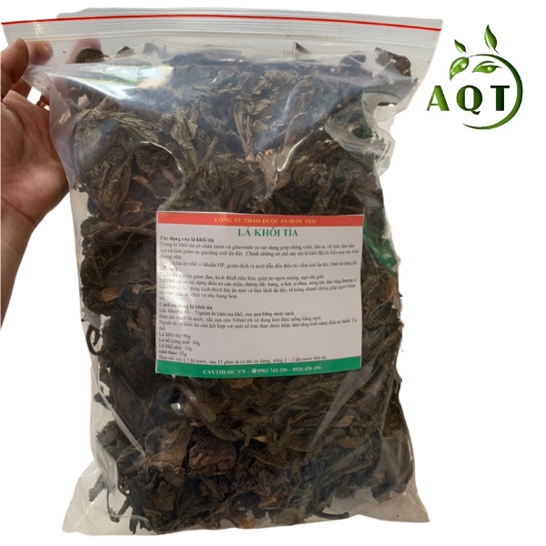 1KG Lá Khôi Tía (Khôi Nhung) Khô, Sạch Hỗ Trợ Đau Dạ Dày, Viêm Loét Dạ Dày, Lá Khôi Hàng Chuẩn Loại 1