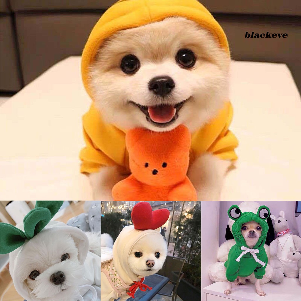 Áo hoodie họa tiết củ cà rốt xinh xắn dành cho thú cưng ấm áp