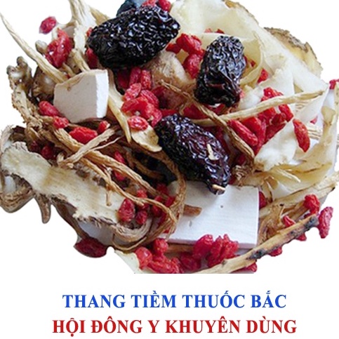 Set thuốc bổ tiềm gà, chim, dê, bò, hầm canh - Đại bổ cường lực, tăng cường sinh lực