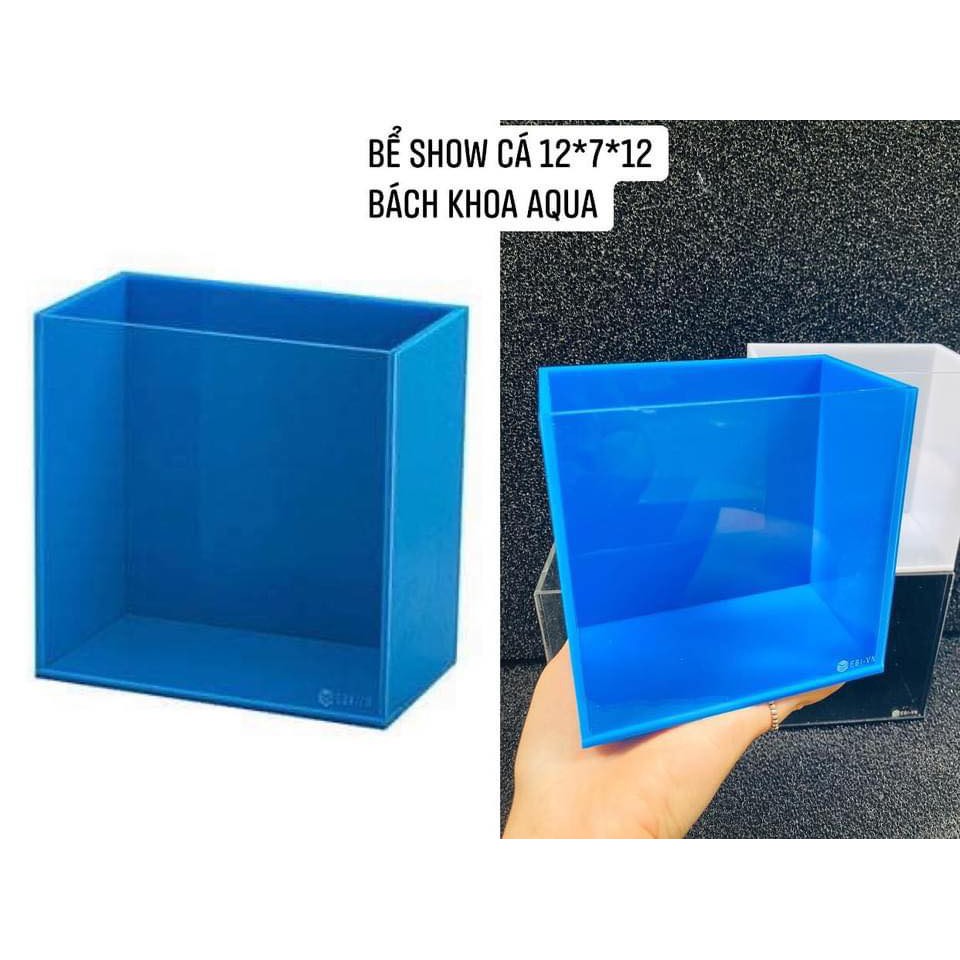 Bể Show cá chất liệu Acrylic size mini