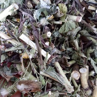 1kg lá bồ công anh khô