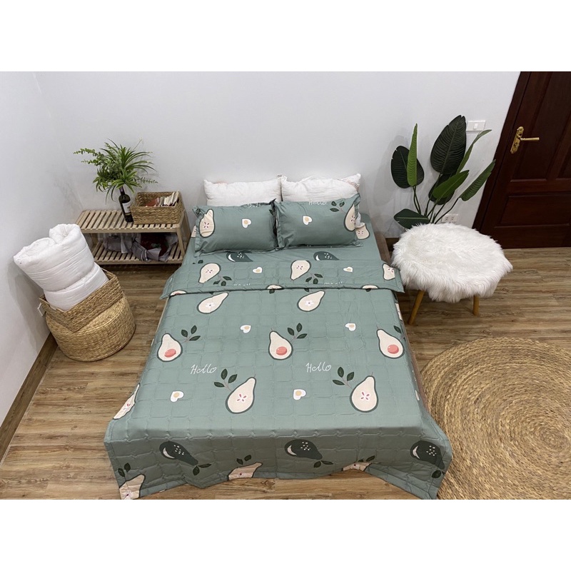 Bộ Chăn Ga Gối Cotton Poly Bơ Hoạt Hình