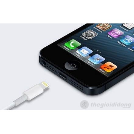 Điện thoại iphone 5G/16Gb máy đẹp hàng quốc tế giá sỉ | BigBuy360 - bigbuy360.vn