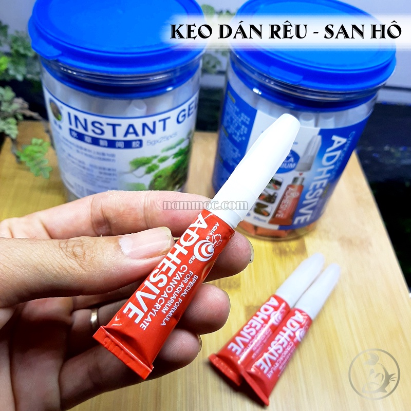 ☘ Keo Dán Rêu AQUA WORLD - tuýp đỏ ☘ Keo Dán Rêu - Dán Cây Thuỷ Sinh