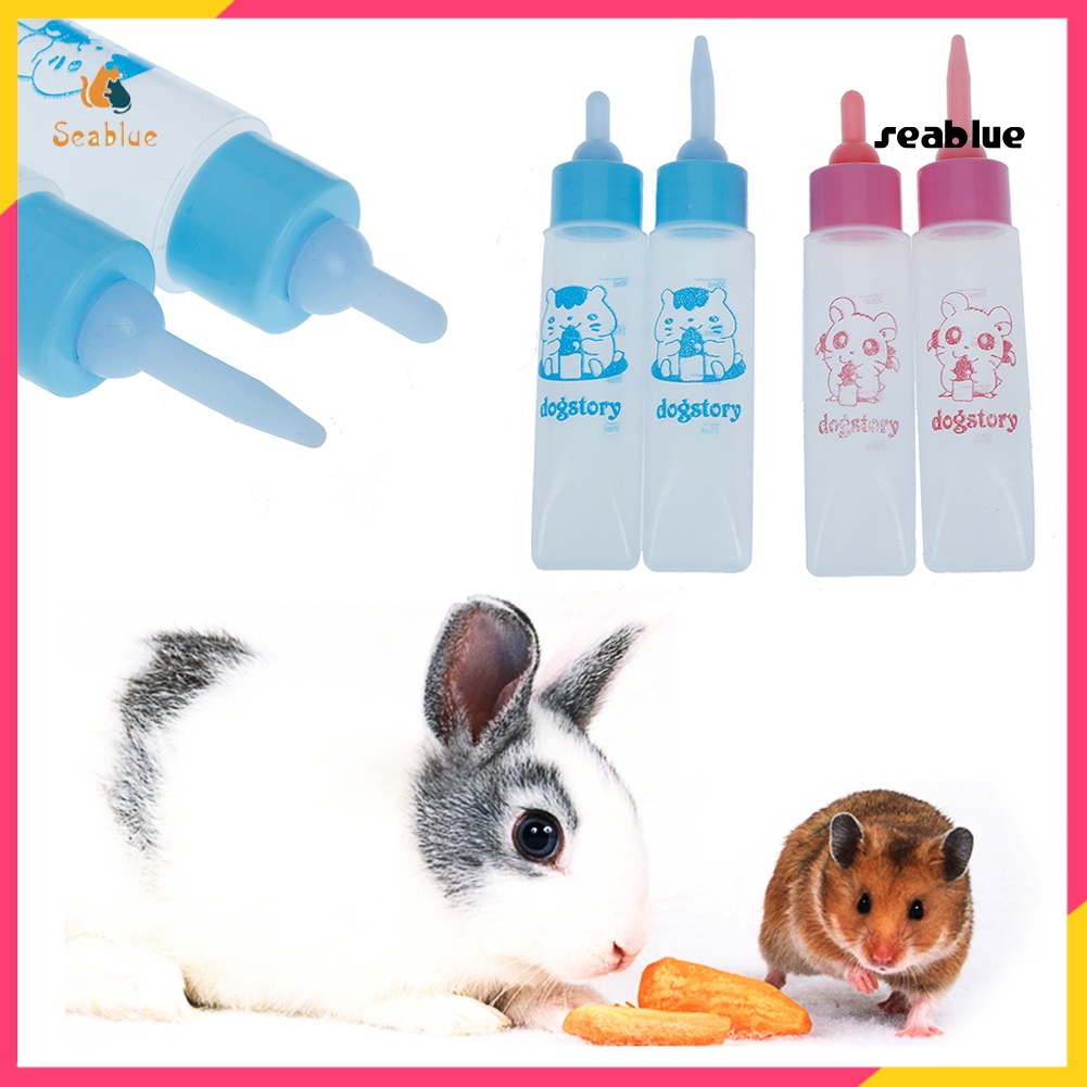 Bình sữa chăm sóc thú cưng nhỏ như chuột lang/ hamster tiện dụng dung tích 30ml