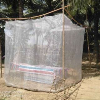 Lồng nuôi cào cào 3x2x2