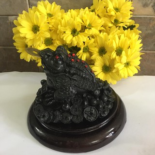 - thiềm thừ đen có đế mang tài lộc cao 10.5 cm x rộng 14.5 cm