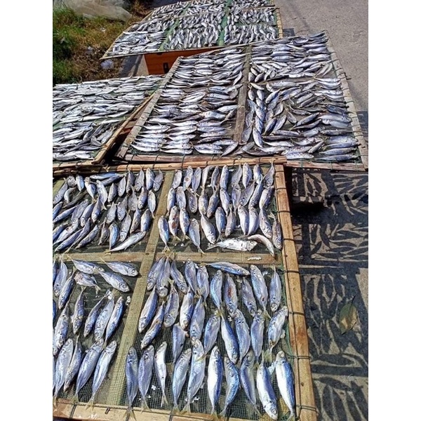 1kg cá nục (cá mu) luộc phơi khô Hà Tĩnh