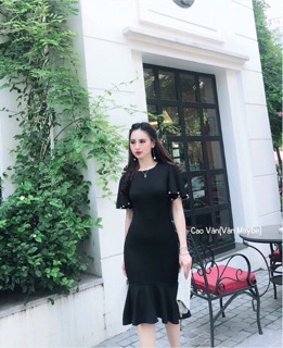 Đầm tay cánh tiên bigsize ( đầm bố Linh Hấp)