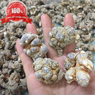 100g bột tam thất bắc - loại 70 củ