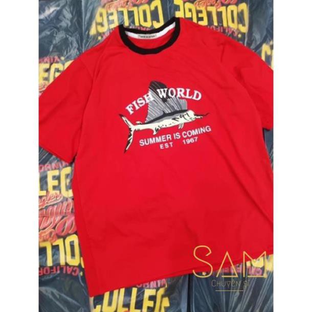 ÁO THUN NỮ ❤️  Áo Thun Nữ Form Rộng Tay Lỡ | BigBuy360 - bigbuy360.vn