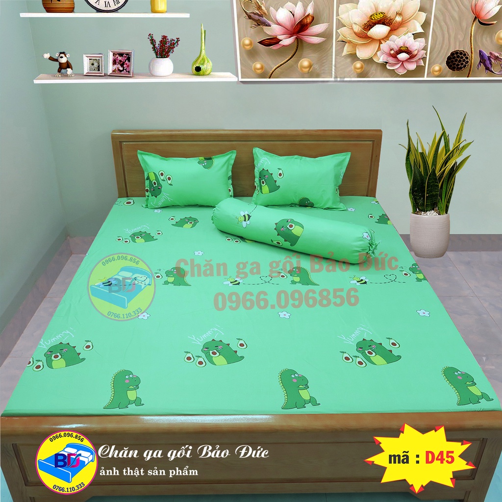 Bộ ga giường , ga bo chun bọc xung quanh chắc chắn ( gồm 4 món )