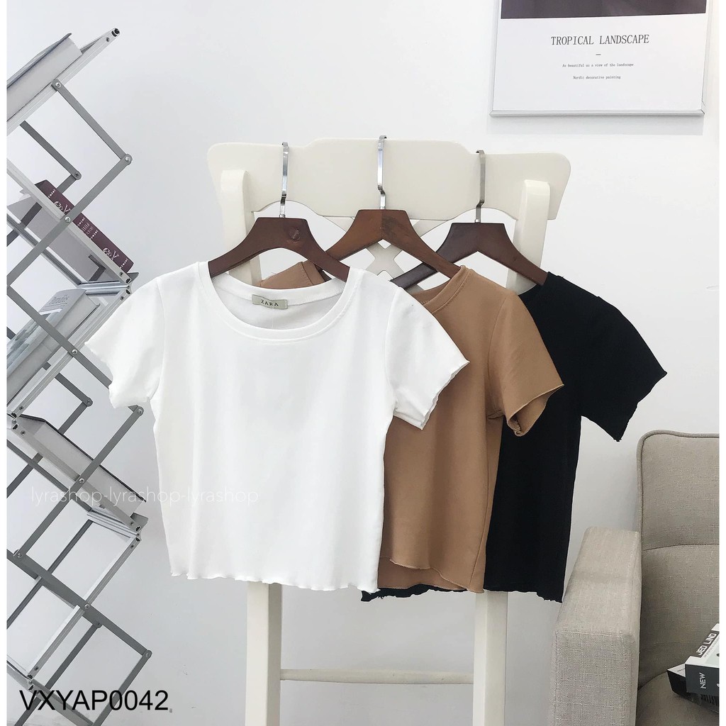 [Có sẵn] Áo croptop nữ basic
