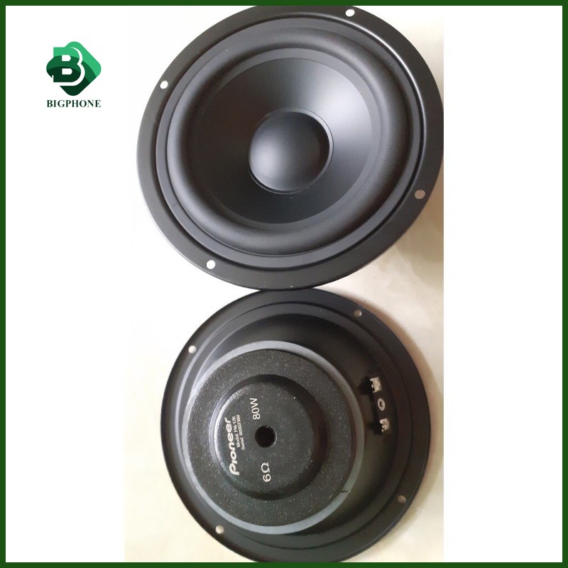 Loa Trung kín Mid Pioneer PN-12K