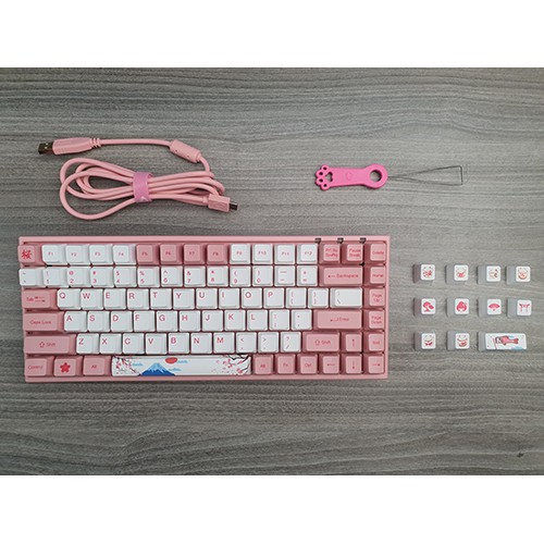 BÀN PHÍM CƠ AKKO 3084 ( AKKO SW ) CÁC PHIÊN BẢN | BigBuy360 - bigbuy360.vn