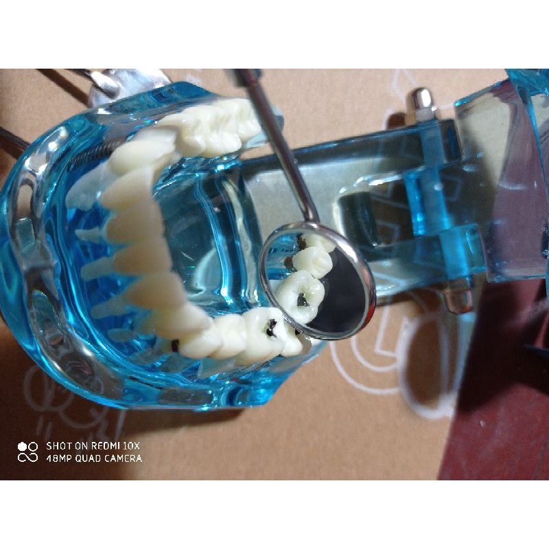 12 chiếc mặt gương rời chuẩn parkistan