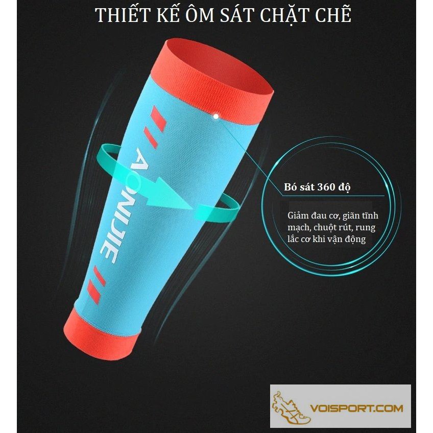 Bó calf  Aonijie E4405