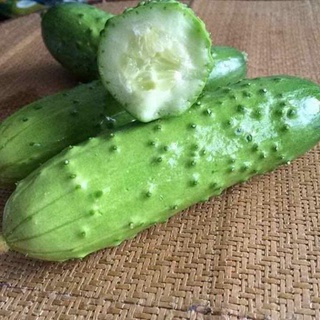 Hạt Giống Dưa Chuột Nếp Ta - 10 Hạt