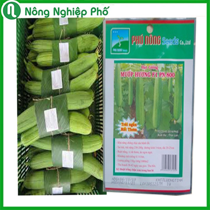Hạt giống Mướp hương F1 Phú Nông - Gói 1 gram