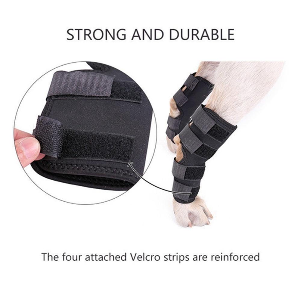 1 Đai Quấn Bảo Vệ Đầu Gối Cho Thú Cưng