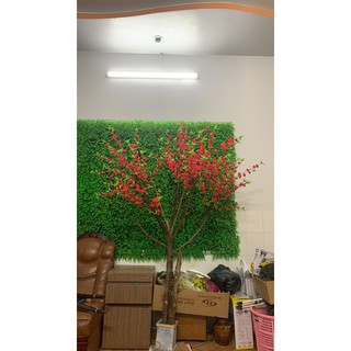 1 cành hoa anh đào Lộc