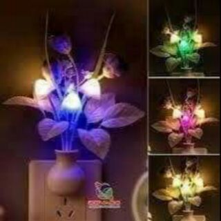 Đèn ngủ cây nấm đổi màu siêu đẹp cảm ứng mặt trời