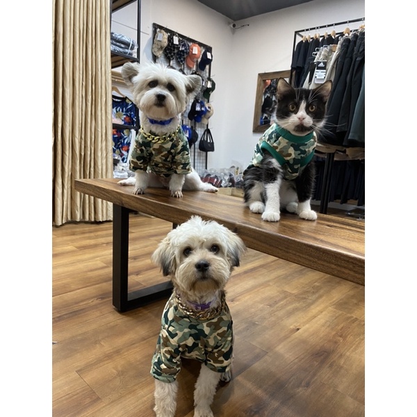 Áo Drew Camo cho chó mèo