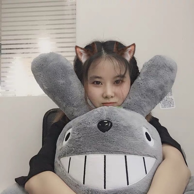 (Order) Thú bông TOTORO size đại (kèm ảnh thật)