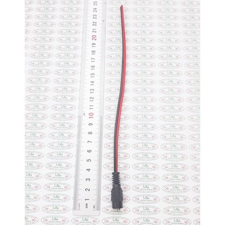 Zăc cắm 55*21 mm, 55*25 mm _ Liba