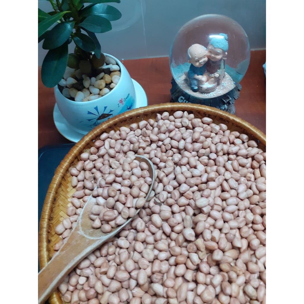 Đậu phộng quê hương