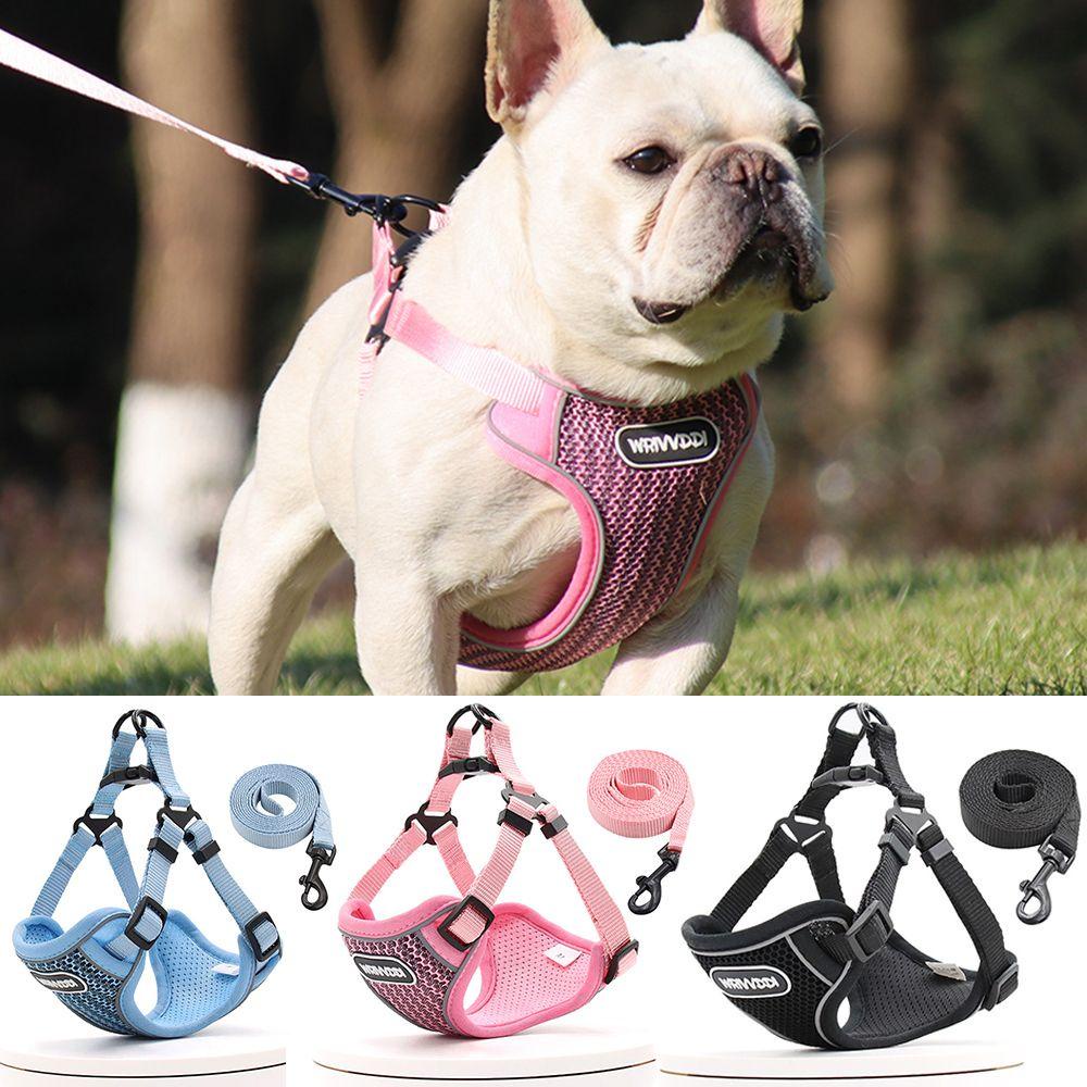 Dây Dắt Thú Cưng Đi Dạo Bằng Lưới Mềm Mại Thoáng Khí Siêu Bền Có Thể Điều Chỉnh