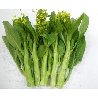 Hạt Giống Cải làn hoa vàng 20g