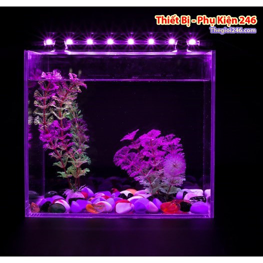 Đèn thủy sinh màu Hồng, đèn hồ cá màu hồng , đèn led hồ cá từ 20 - 150 màu hồng có nút tắt mở