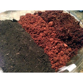 1 Kg Đất Sạch Trồng Cây Siêu Dưỡng