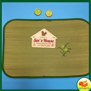 Chiếu cói size nhỏ cho bé