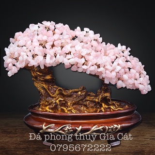 Cây thach anh bonsai phong thuỷ trưng bày