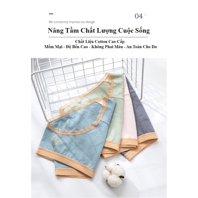 Quần Lót Cotton Royal Kháng Khuẩn Chống Viêm Nhiễm CT04