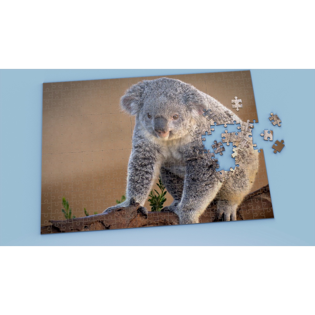 Tranh ghép hình Animal - Tranh ghép hình KOALA - Mẫu 2 - Nhận in hình tranh ghép theo yêu cầu