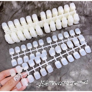 Móng mẫu vỉ vuông Hàn Quốc