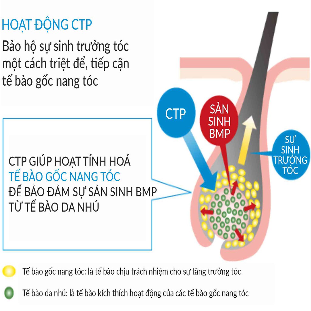 Dầu xả chăm sóc tóc nữ, nam phục hồi tóc hư tổn chăm sóc tóc toàn diện Dermed HairTreatment hàng nội địa Nhật Bản 240ml