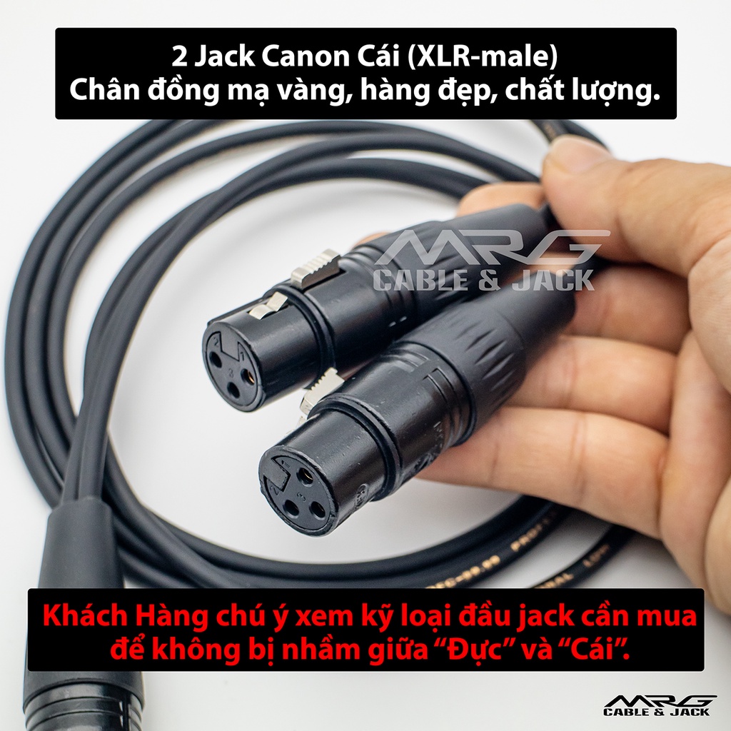 Dây 1 Đầu Canon Đực Ra 2 Đầu Canon Cái - MrG